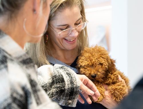 dierenarts met puppy